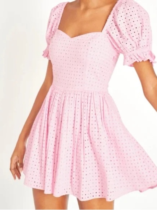 LoveShackFancy Dresses & Skirts - LoveShackFancy Pink Eyelet Mini Dress